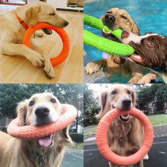 Toy Training Ring