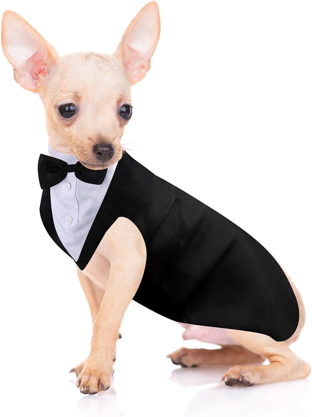 Tuxedo and Bandana Suit Costumes