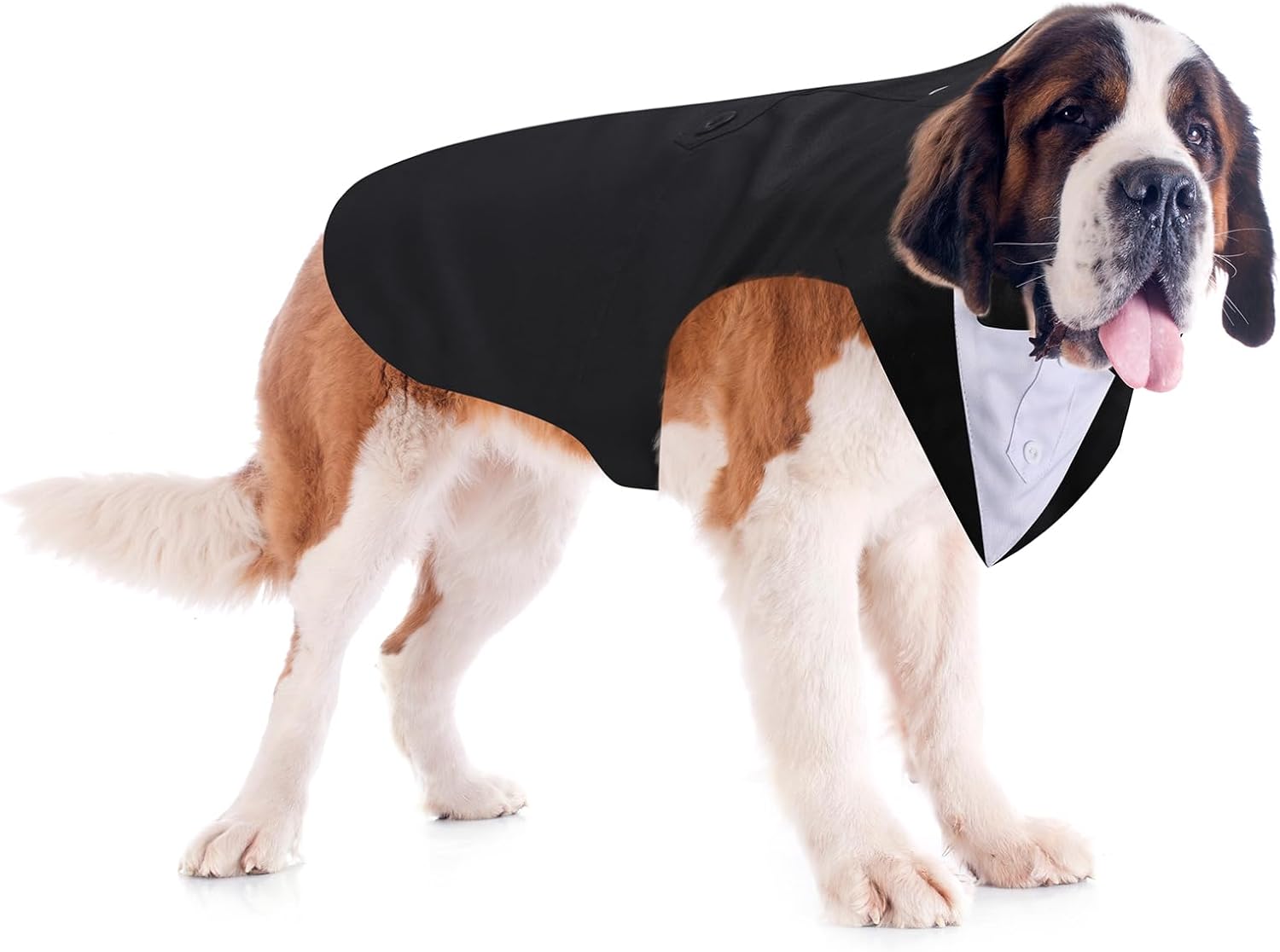 Tuxedo and Bandana Suit Costumes
