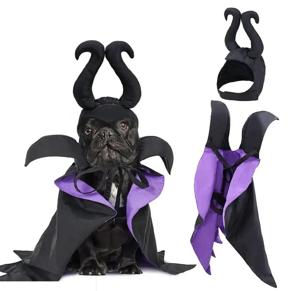 Enchanting Witch Halloween Costume