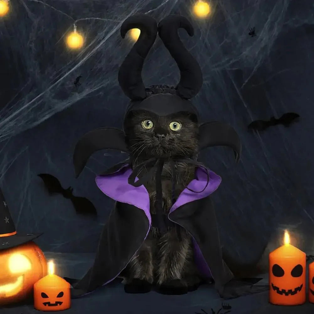 Enchanting Witch Halloween Costume