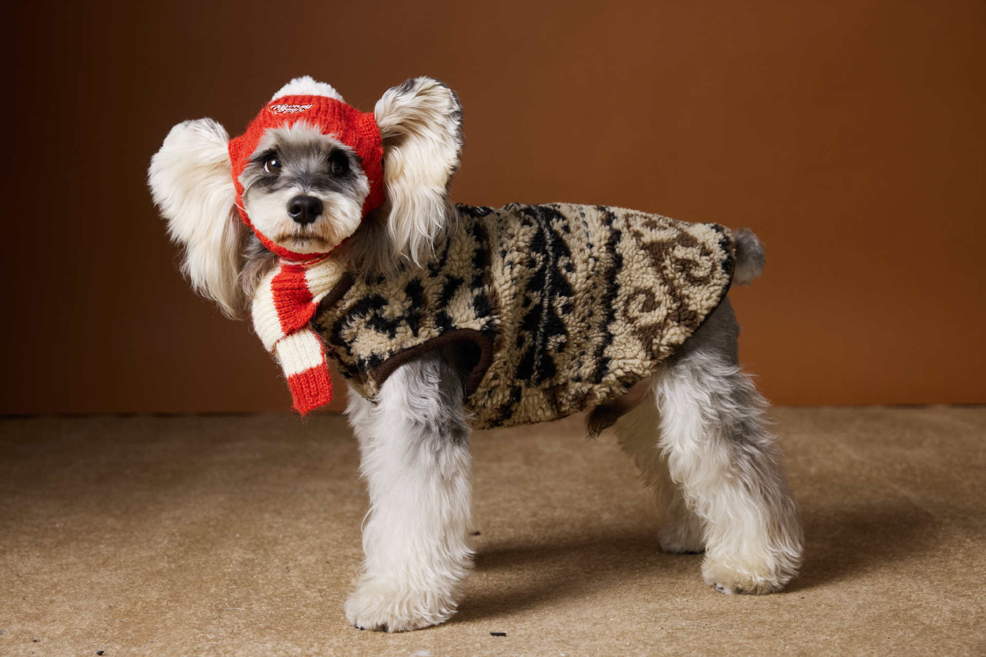 Fair Isle Sleeveless Vest – Cozy Knit Dog Sweater