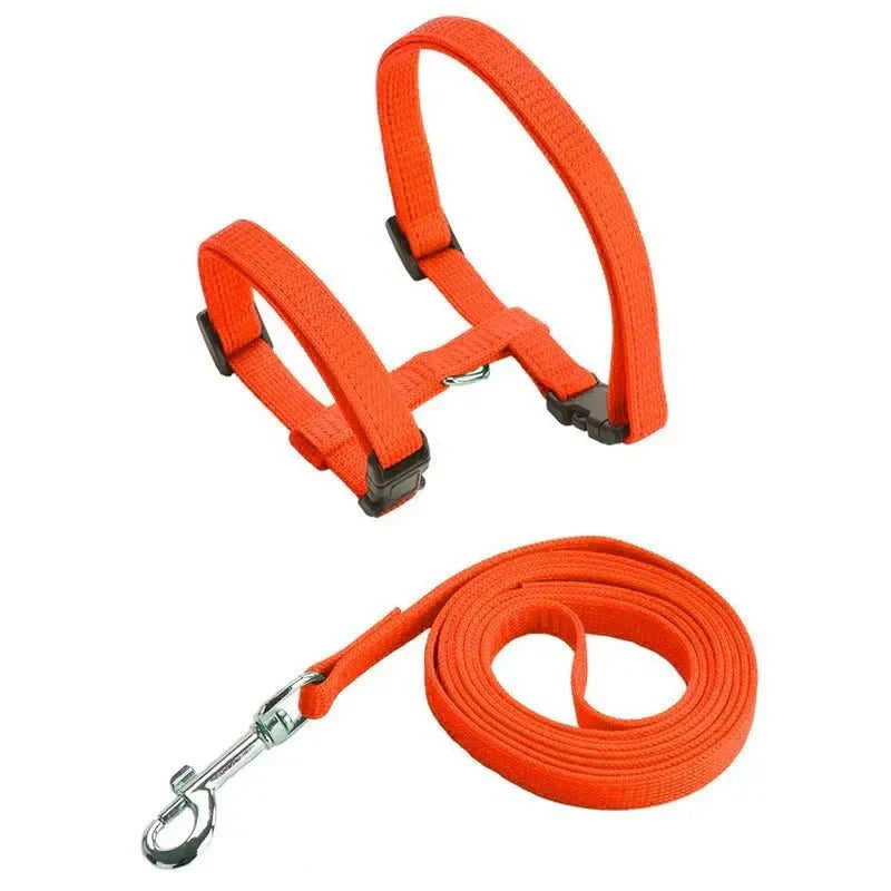 H-shaped harness with leash