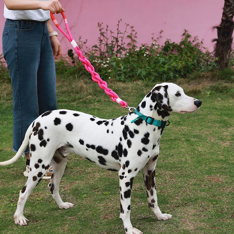 Handmade Twisted Braided Dog Leash