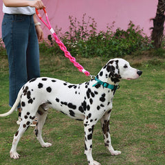 Handmade Twisted Braided Dog Leash