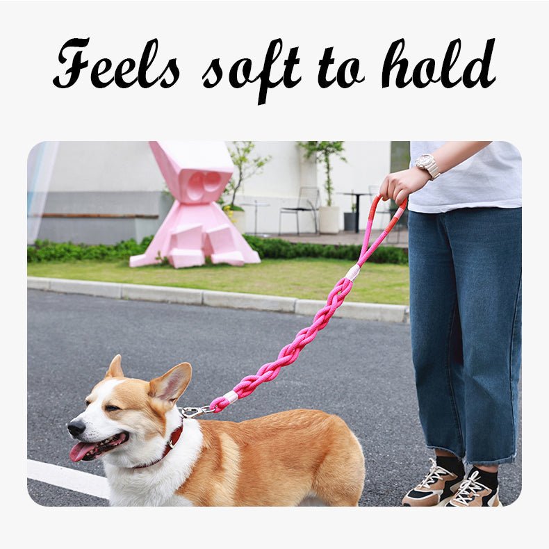 Handmade Twisted Braided Dog Leash