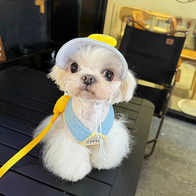 Harness Leash Set for Small Mid Dogs Cat