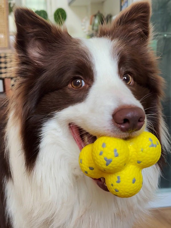 [HOT SALE] Calming durable Balls toy