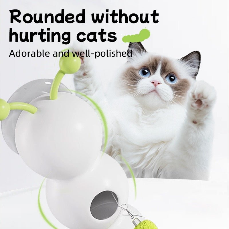 Interactive Cat Teaser Wall Toy