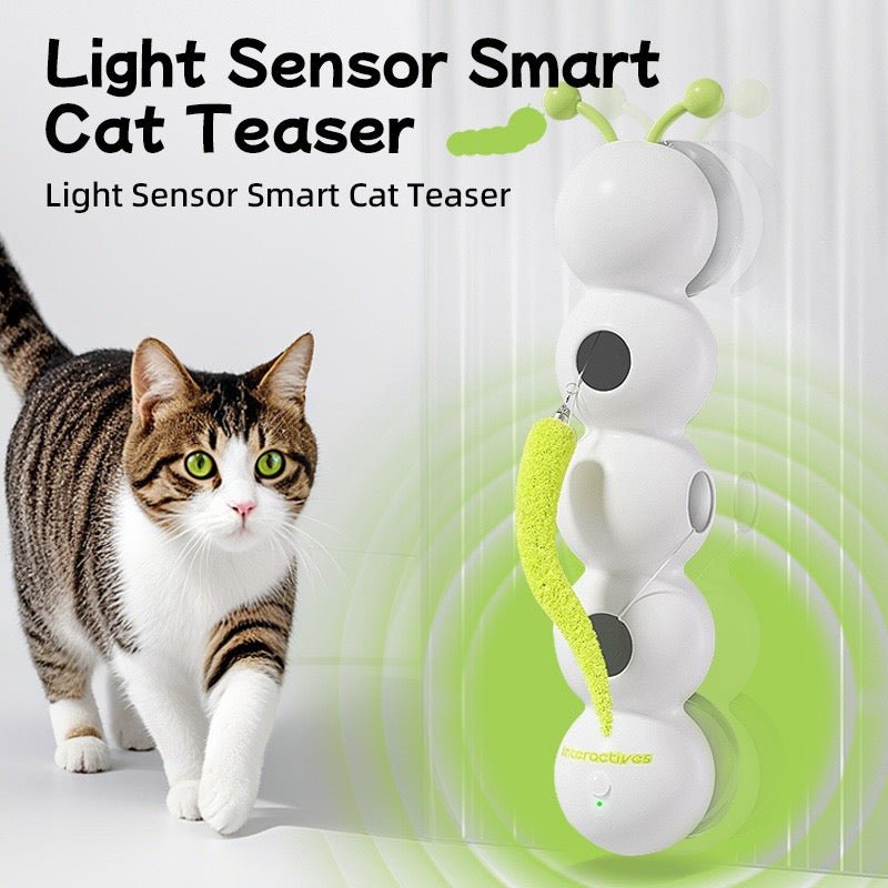 Interactive Cat Teaser Wall Toy