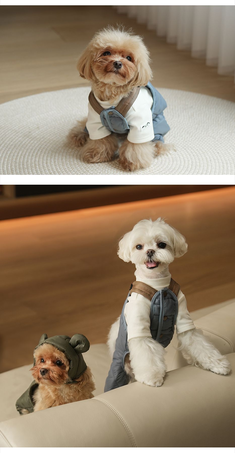 Jumpsuit - Four-Legged Harness