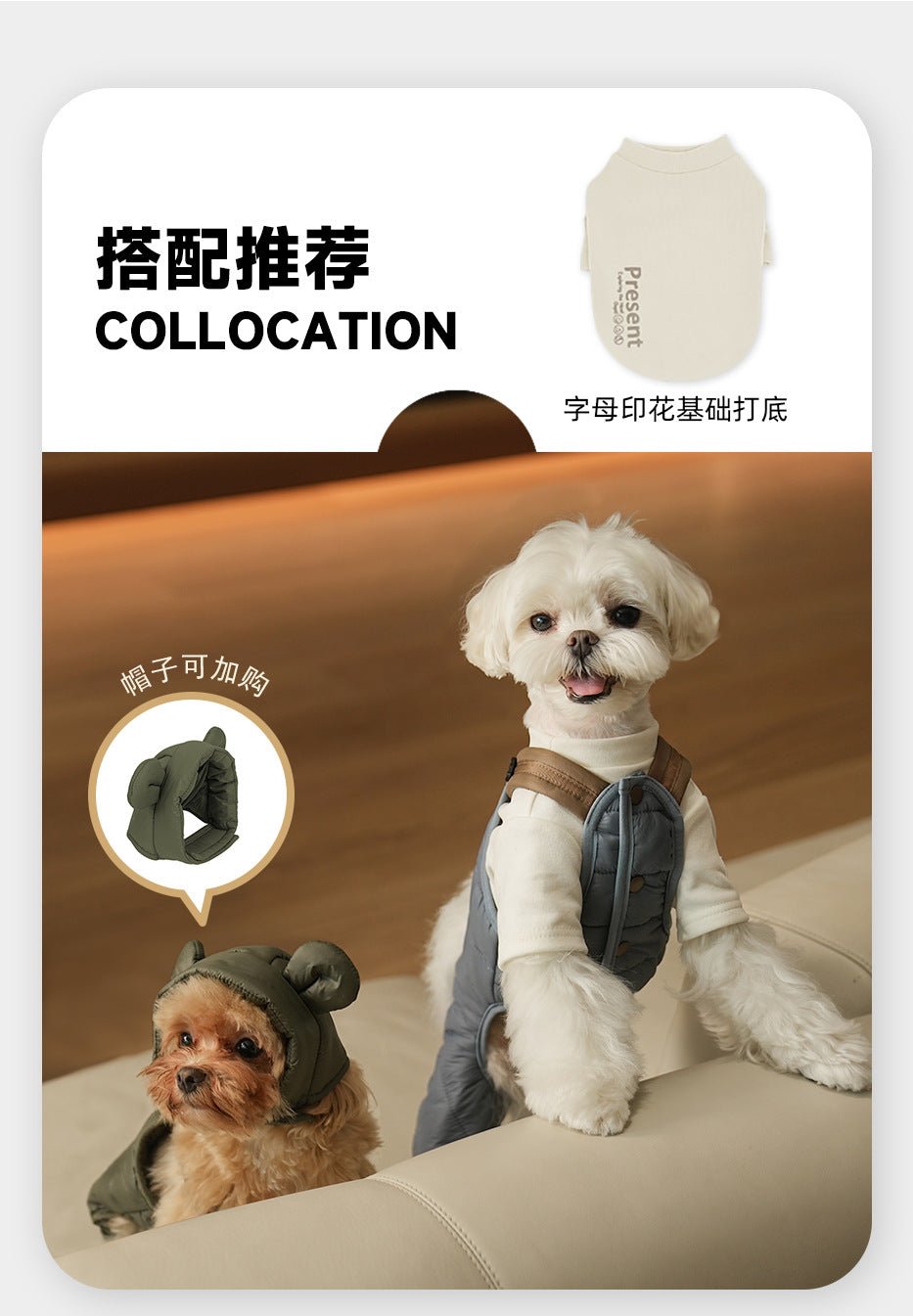Jumpsuit - Four-Legged Harness