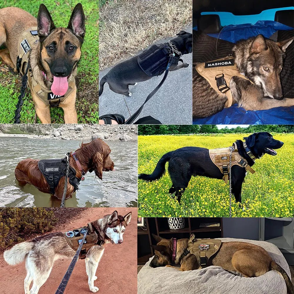 K9 Harness – Tactical Dog Harness for Dogs