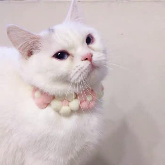Knitted Flower Collar