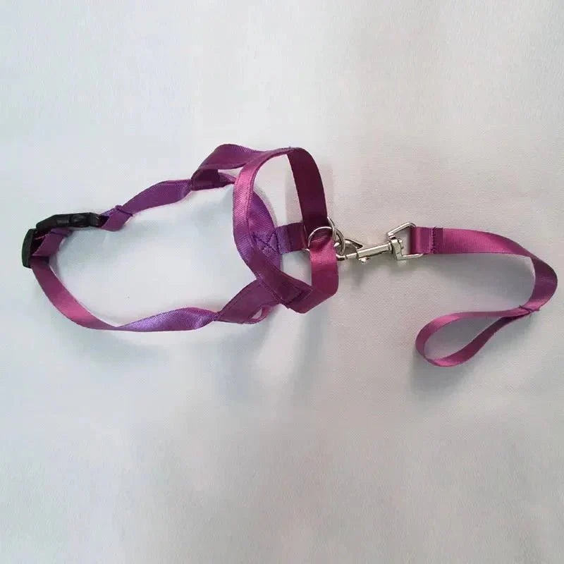 Muzzle for dogs