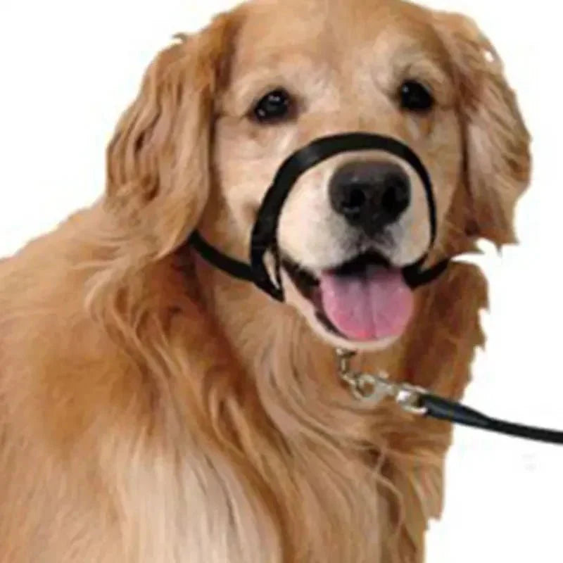 Muzzle for dogs