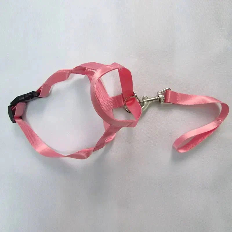 Muzzle for dogs