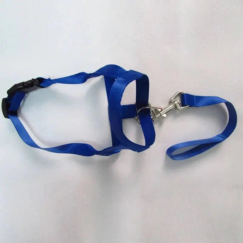 Muzzle for dogs