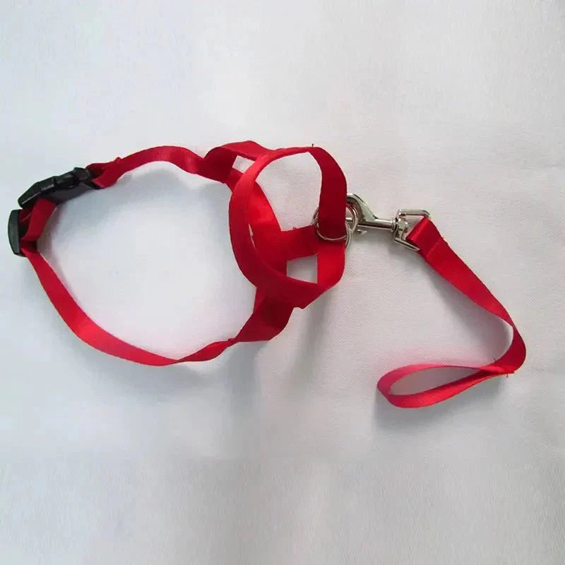Muzzle for dogs