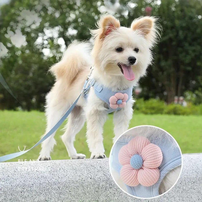 No Pull Adjustable Vest Harness and Leash Set