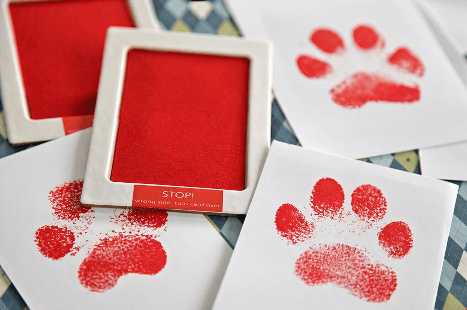 Paw Print Memory Ink Pad