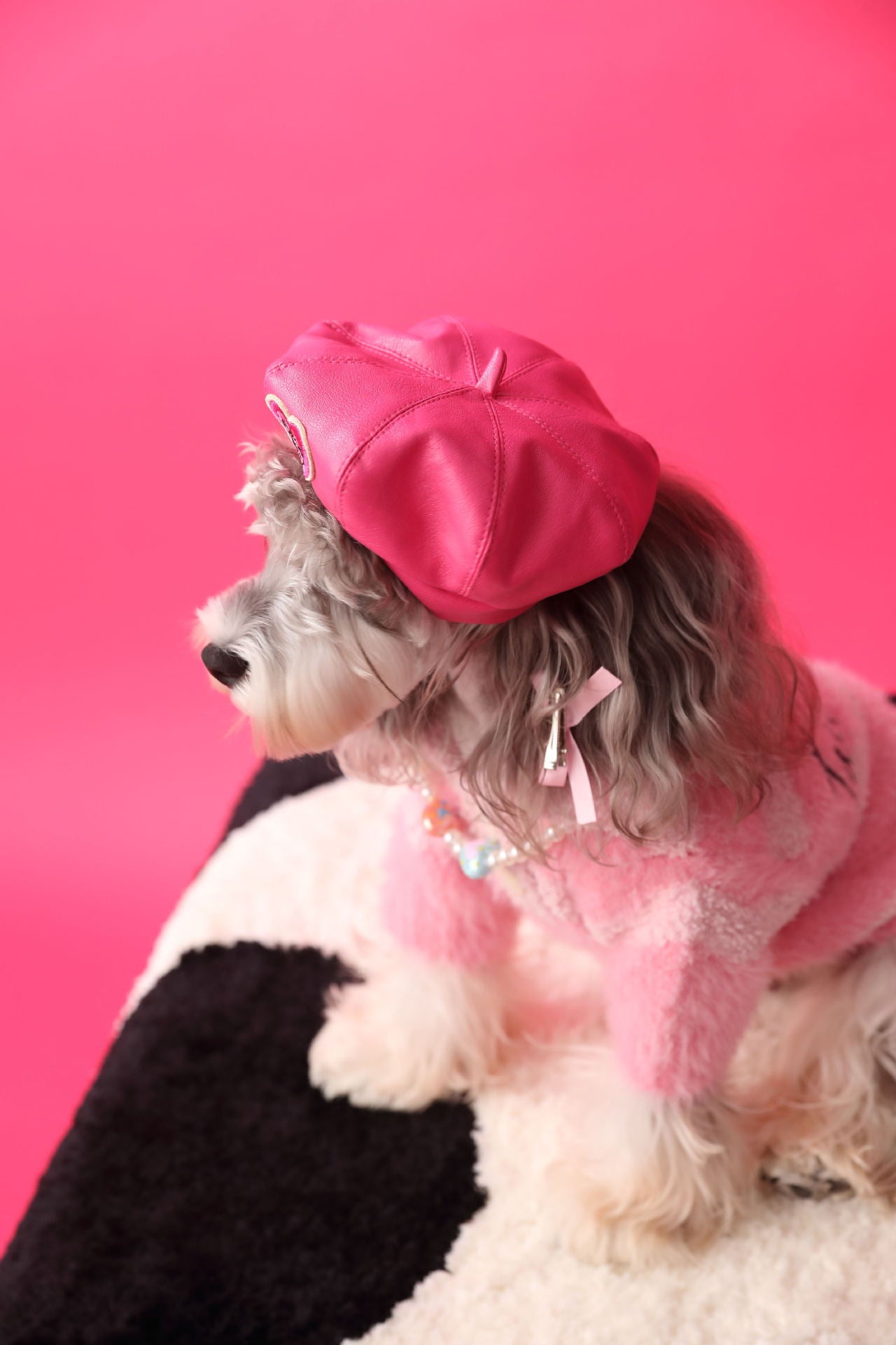 Pawesome Photoshoots - Pumpkin Hat 🎃