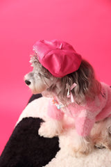 Pawesome Photoshoots - Pumpkin Hat 🎃