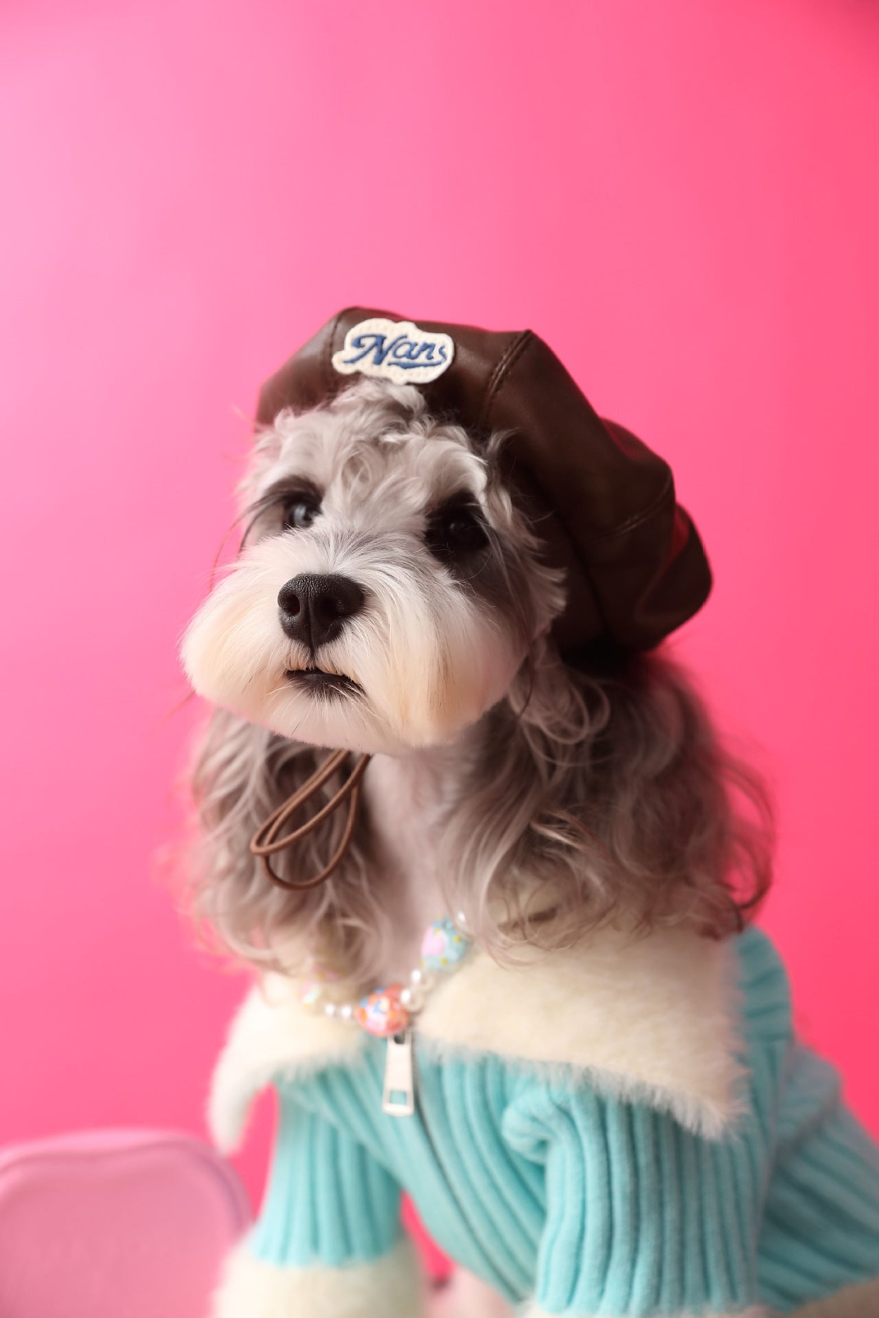 Pawesome Photoshoots - Pumpkin Hat 🎃