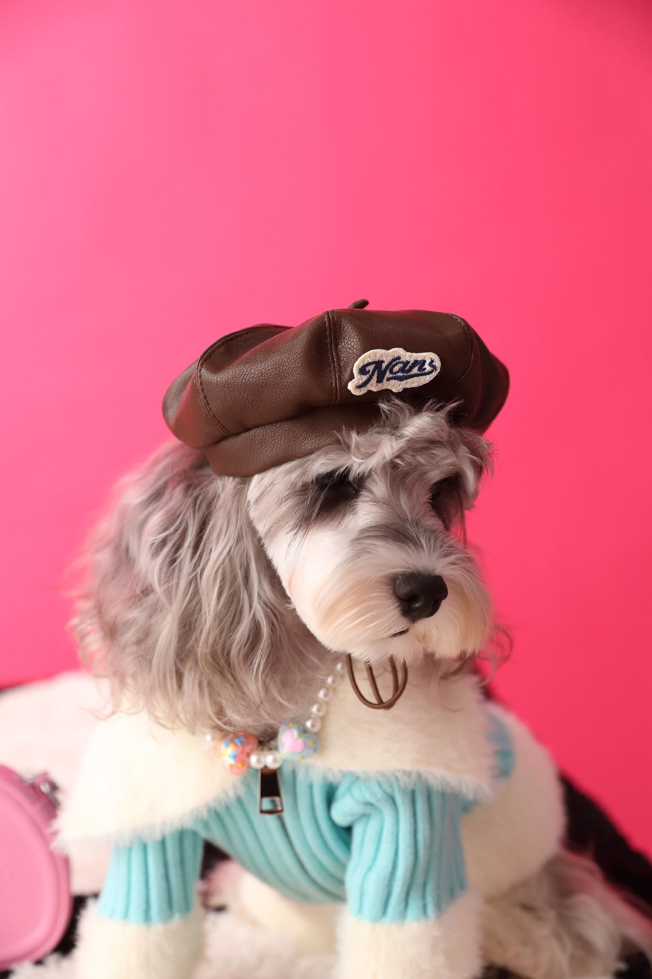 Pawesome Photoshoots - Pumpkin Hat 🎃
