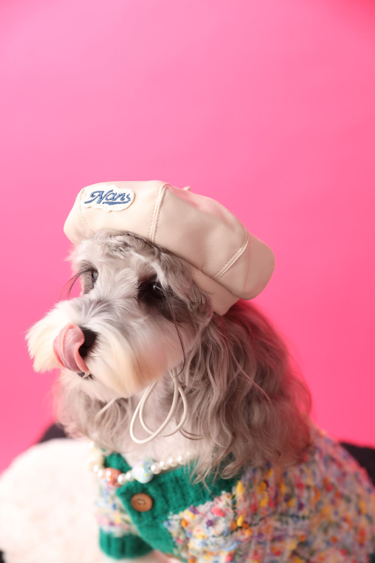 Pawesome Photoshoots - Pumpkin Hat 🎃