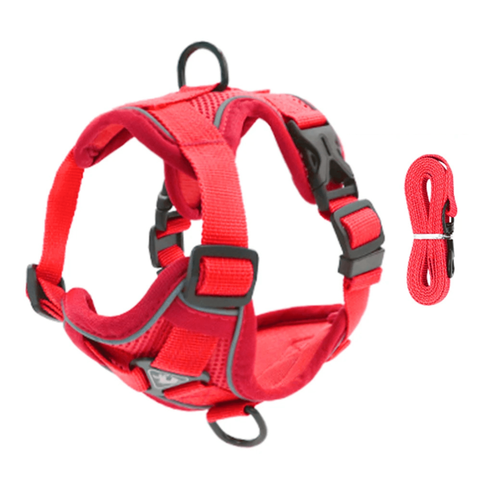PawSecure – Harness for Dogs and Cats
