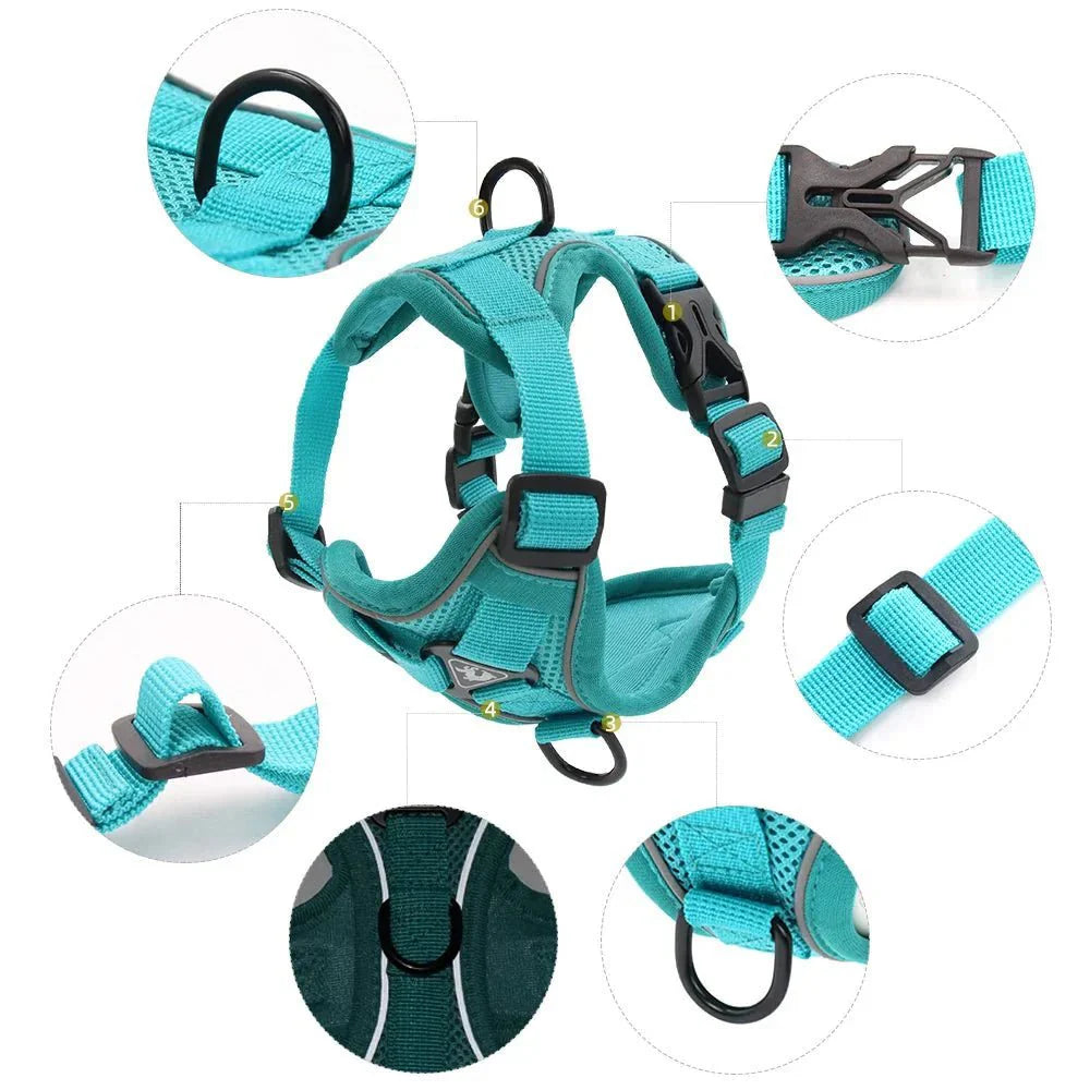 PawSecure – Harness for Dogs and Cats