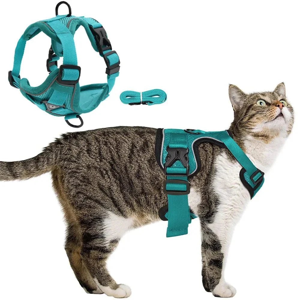 PawSecure – Harness for Dogs and Cats