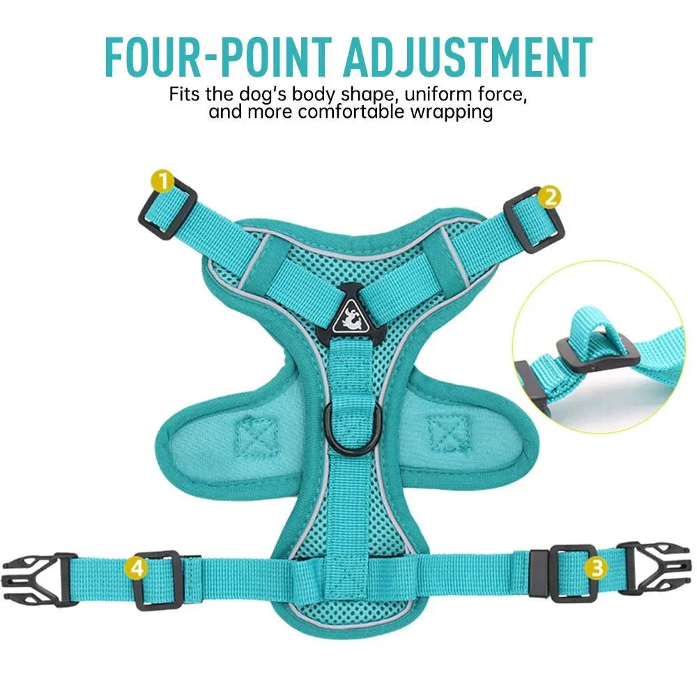 PawSecure – Harness for Dogs and Cats