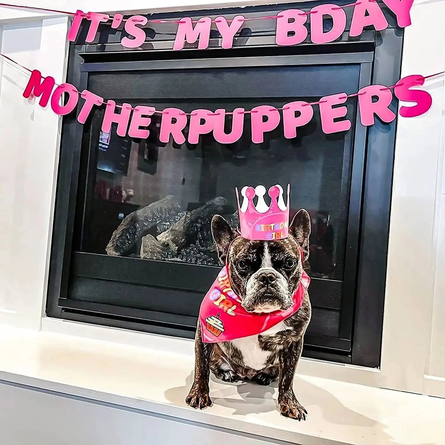 Pet Birthday Party Set: Banner, Hat, and Neckerchief 🎉