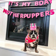 Pet Birthday Party Set: Banner, Hat, and Neckerchief 🎉