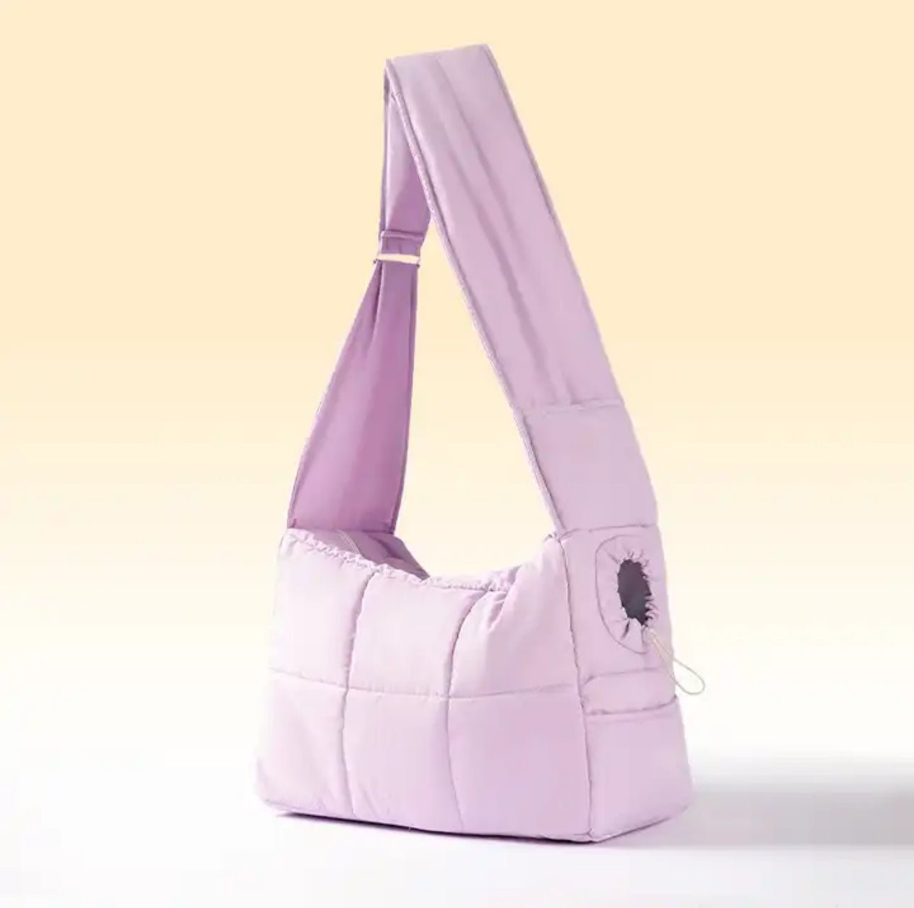 Pet Carrier Bag