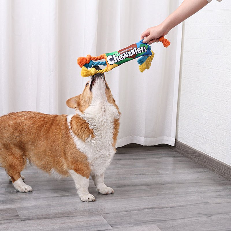Rainbow Twist Dog Rope Toys