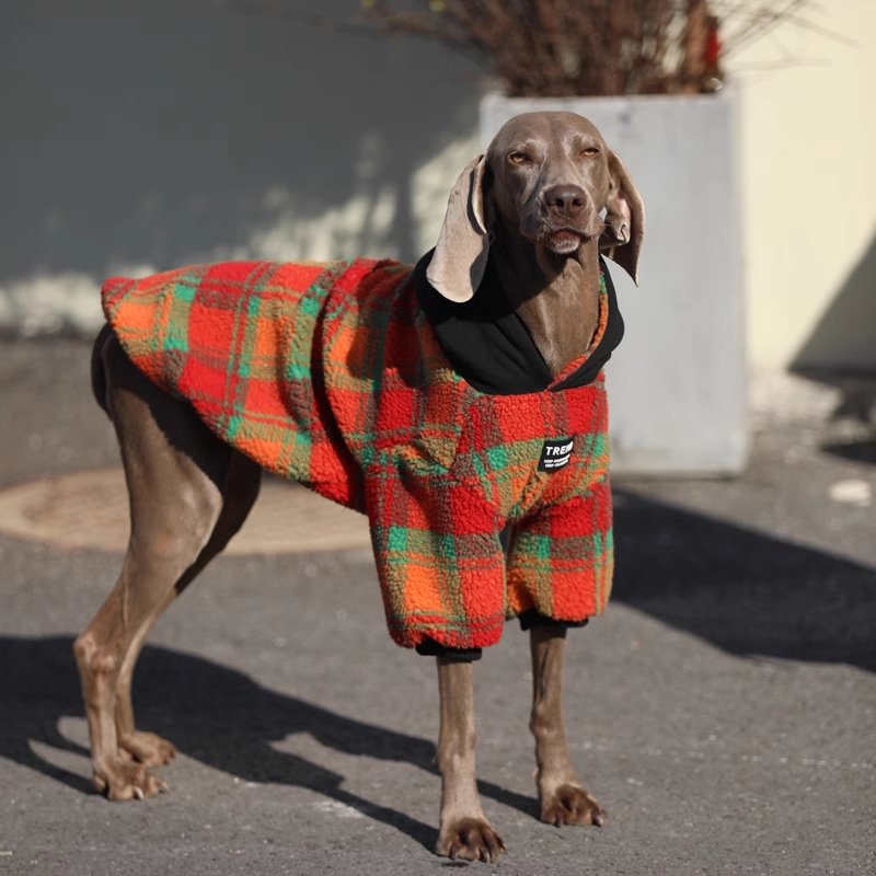 Red and Green Corduroy Dog Sweatshirt