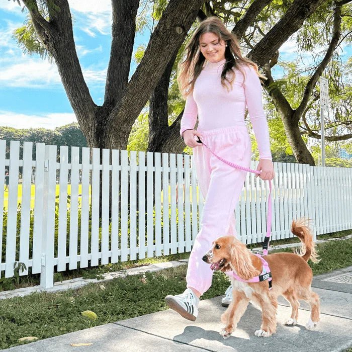Reflective Adjustable Dog Harness – Personalized Harness for Walking