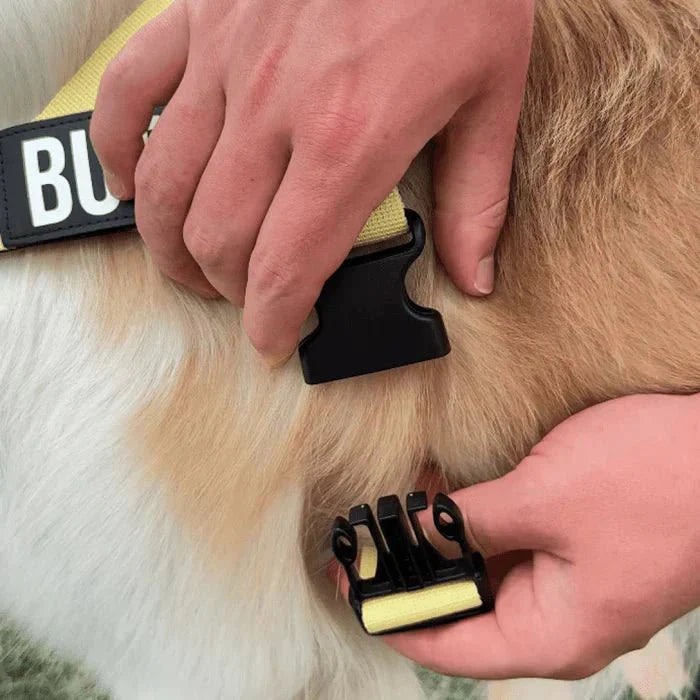 Reflective Adjustable Dog Harness – Personalized Harness for Walking