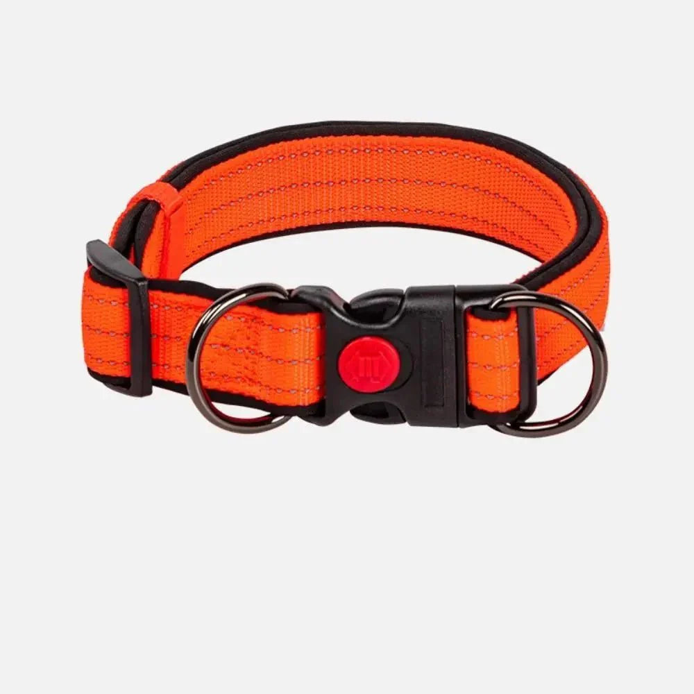 Reflective Dog Collar with Double D-Ring