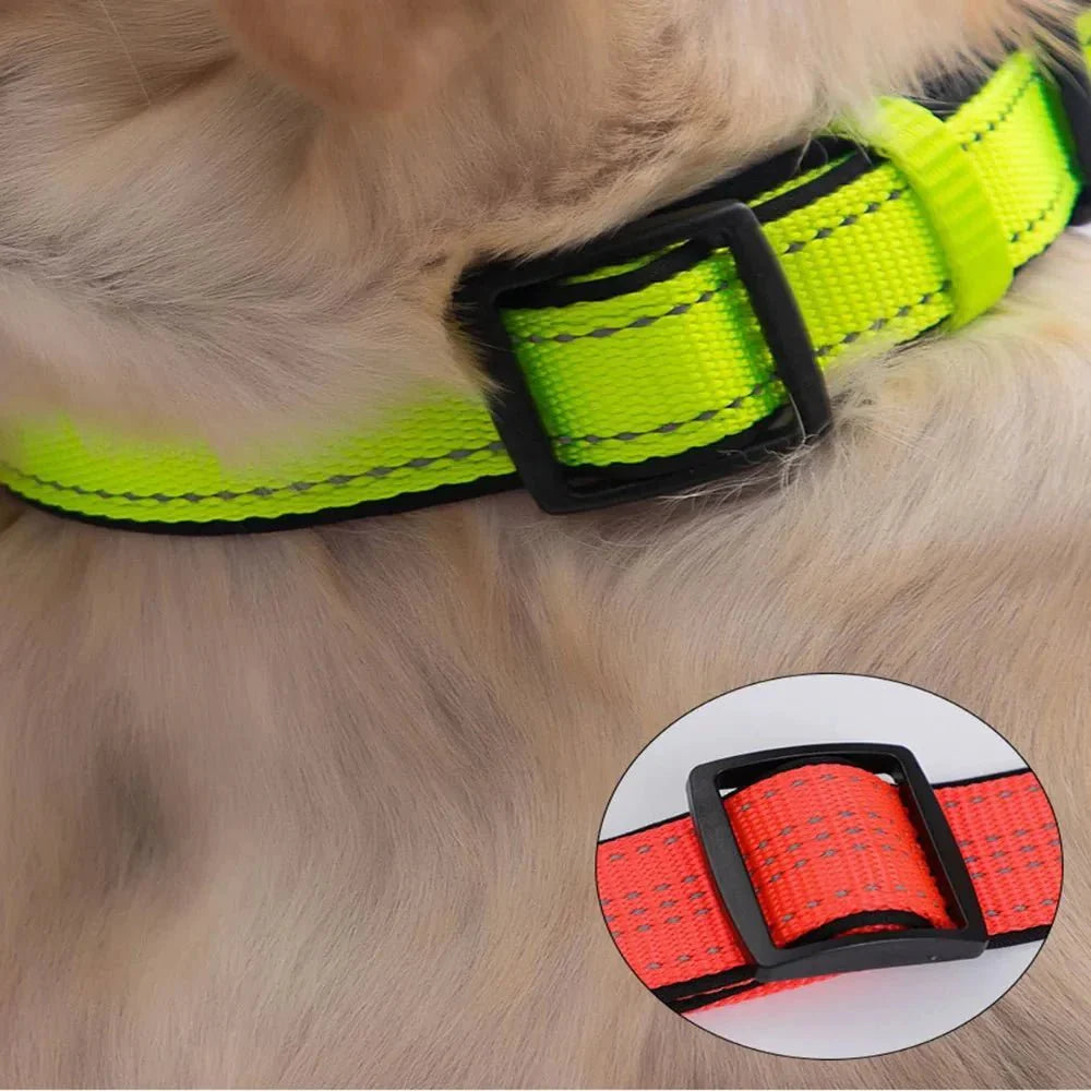 Reflective Dog Collar with Double D-Ring