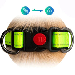 Reflective Dog Collar with Double D-Ring