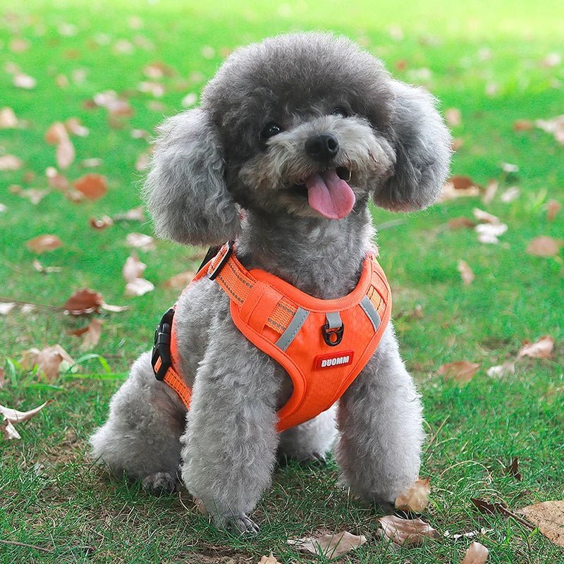 Reflective Dog Harness – Adjustable Nylon Harness for Walking