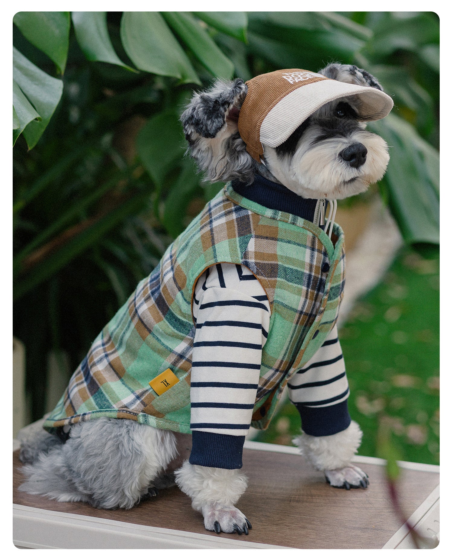 Reversible Dog Vest -2 looks in 1 vest