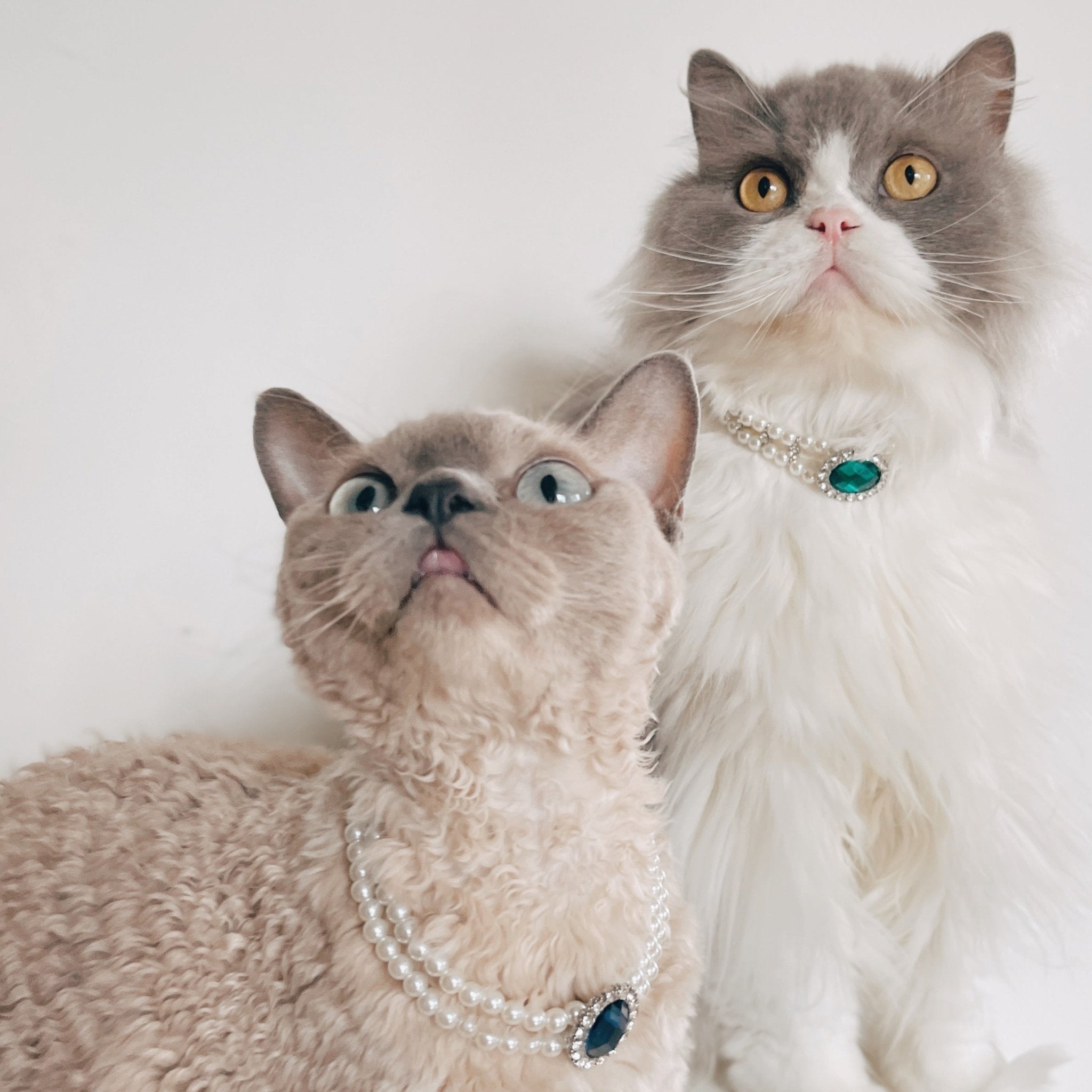Rhinestone Jeweled Pet Necklace