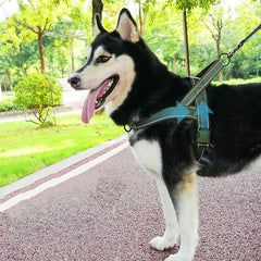 Tactical Chest Harness for Dogs – Adjustable Nylon Harness
