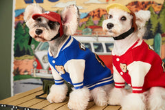 Trendy Pup Baseball Jacket