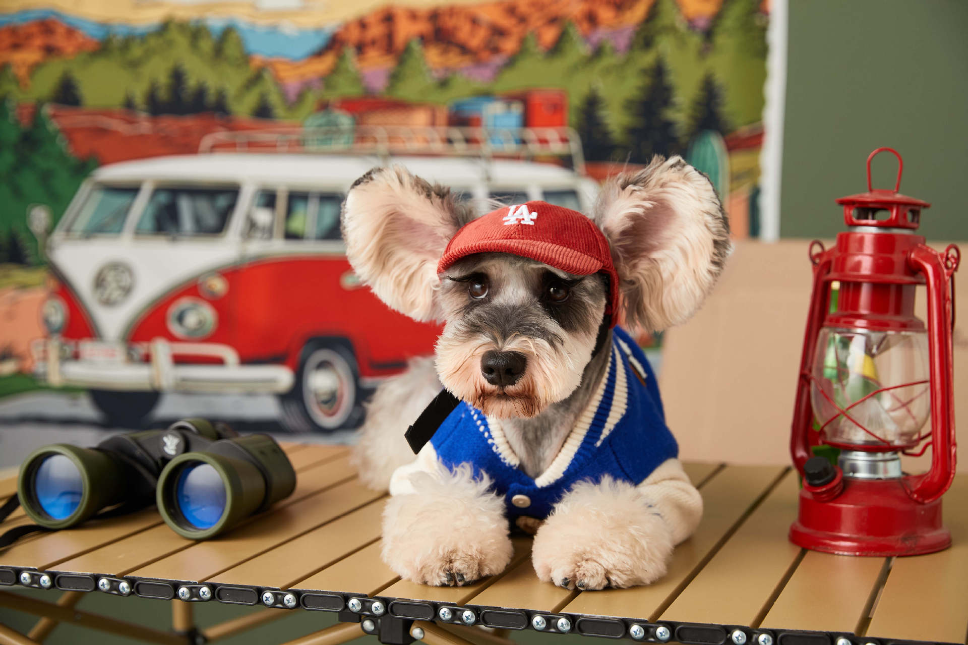 Trendy Pup Baseball Jacket